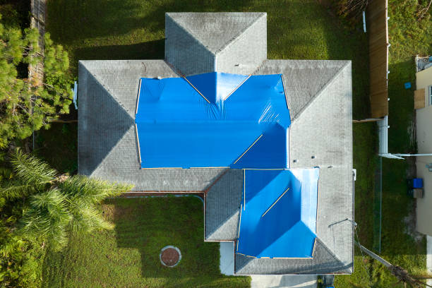 Best Asphalt Shingles Roofing  in Oxford, MI
